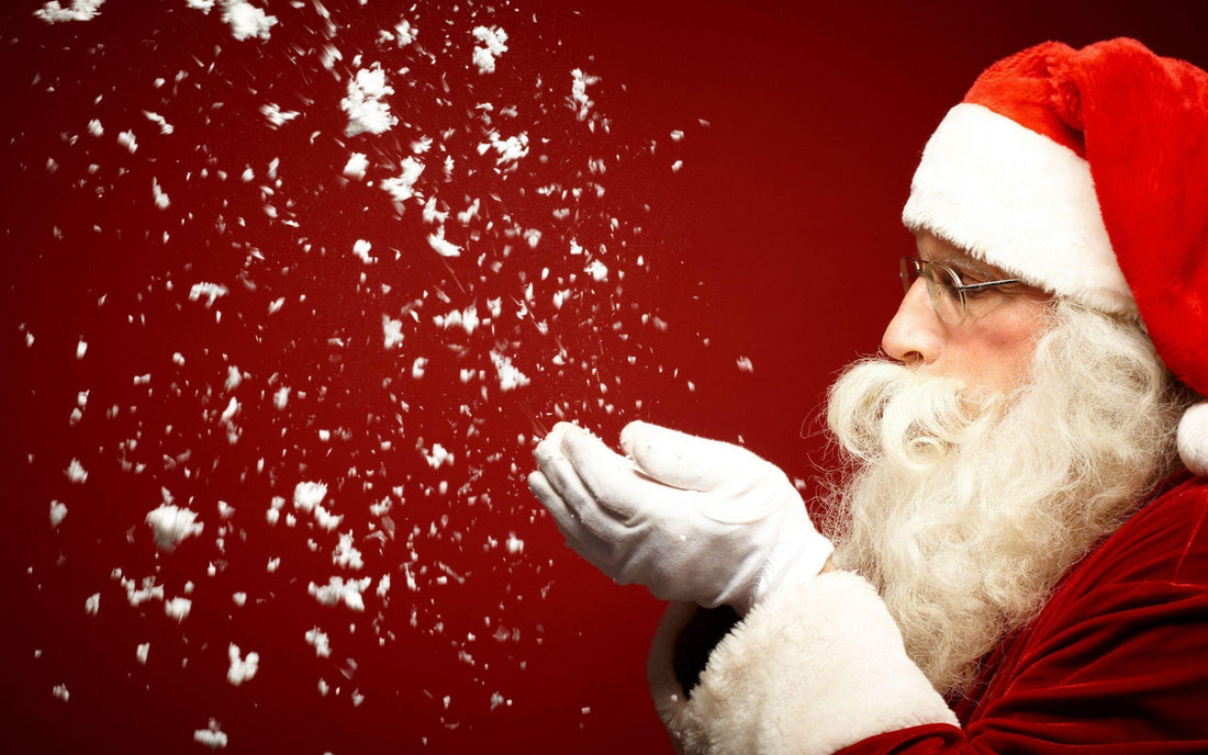 Merry Christmas From Us to You!